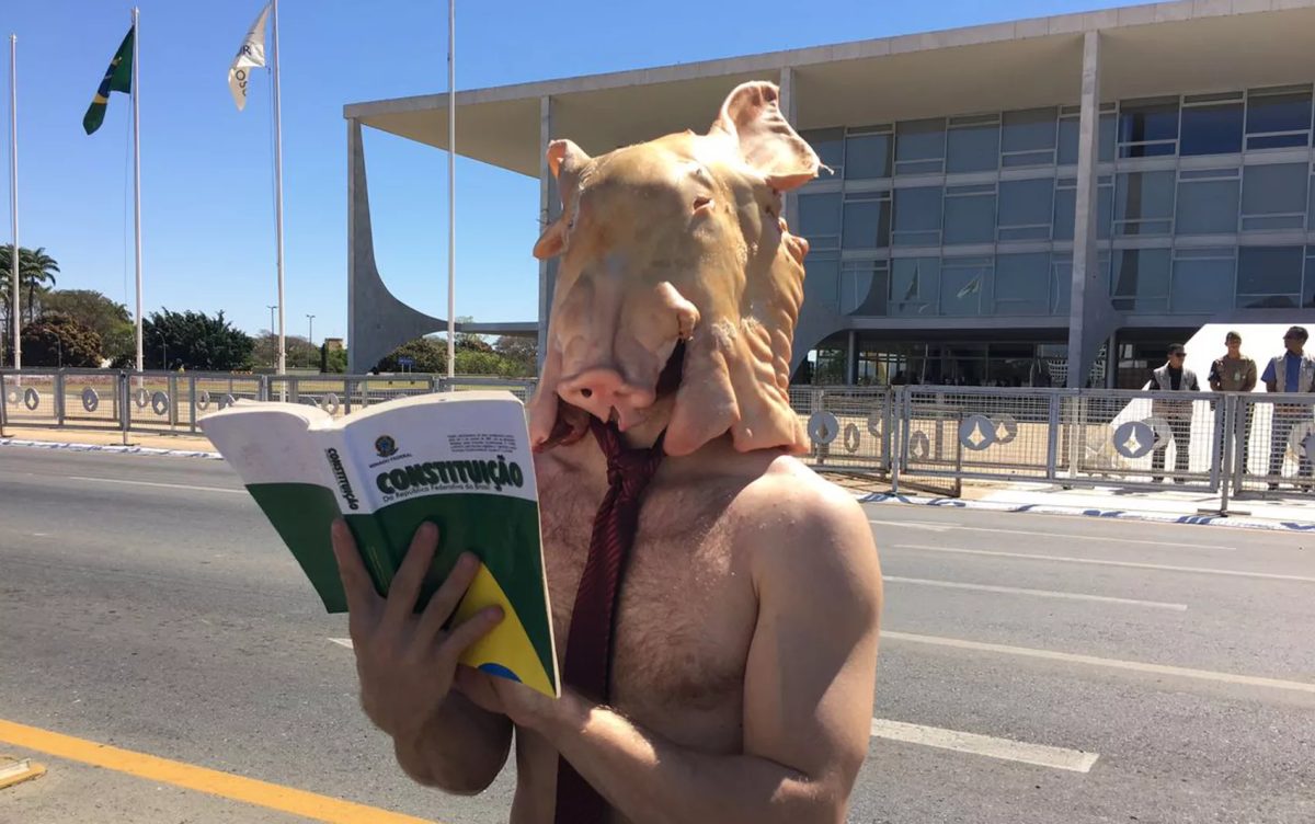Artista protesta no Planalto com cabeça de porco e Constituição